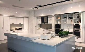 观点 四大特点注定厨房电器在家电中最具活力