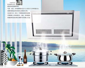 皮阿诺爱奇屋中式侧吸油烟机 厨房电器的精致之选
